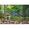 image of Surly Grappler
