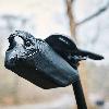 image of FIDLOCK PINCLIP Saddle Bag M + Saddle Base