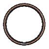 image of Schwalbe G-One R Pro