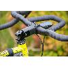 image of Redshift ShockStop PRO Stem