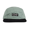image of TSG 5 Panel Cap - Chinois Green