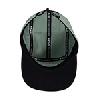 image of TSG 5 Panel Cap - Chinois Green