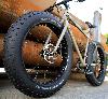 image of Schwalbe Jumbo Jim 1