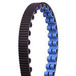 Gates CDX Belt - Black with Blue