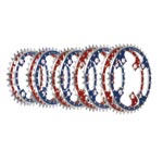 GUSSET TRIBAL-R RING 104 32T