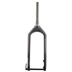 NO.9 Carbon Thru Axle Fat Fork