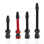 Tubolight Tubeless Valves