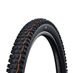 Schwalbe Albert