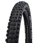 Schwalbe Magic Mary Performance 29