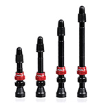 Halo Tubeless Valves