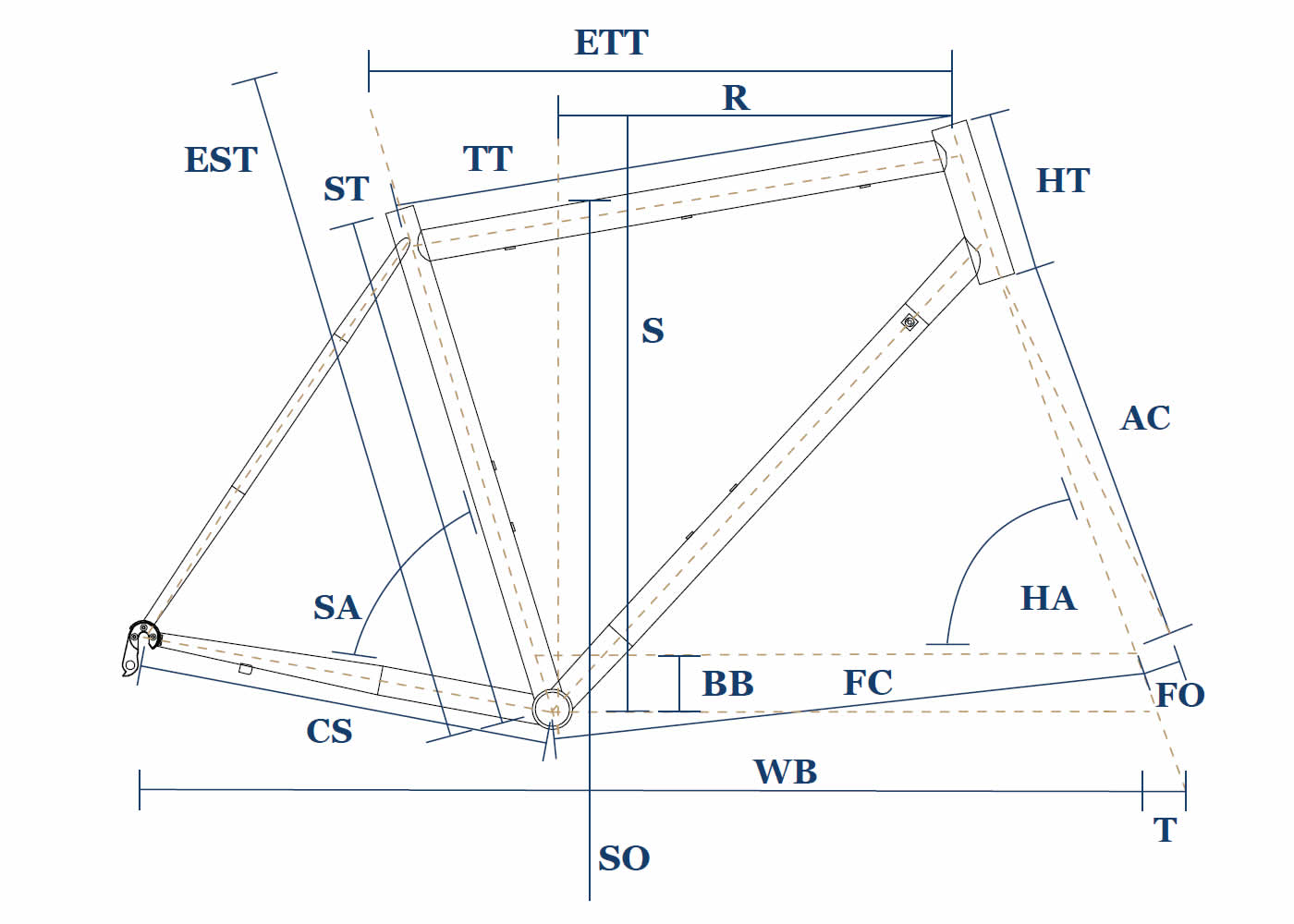 Wolfson 2019 image