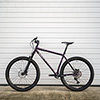 image of Ex-Demo Surly Karate Monkey Suspension