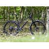 image of Surly Sorceress Eagle 90 - Elderberry Tonic