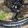 image of Surly Sorceress Eagle 90 - Elderberry Tonic