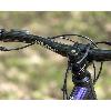 image of Surly Sorceress Eagle 90 - Elderberry Tonic