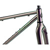 image of Salsa Fargo 32 Steel Frameset