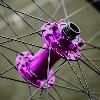 image of Purple-MT