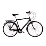 LB PARKSIDE G 5sp BIKE 23" BLK