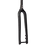 Salsa Waxwing Carbon Fork