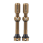Teravail Tubeless Valves