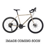SURLY DISC TRUCKER SWORD BIKE 26w54 BEIGE