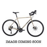 SURLY DISC TRUCKER SWORD BIKE 700w56 BEIGE